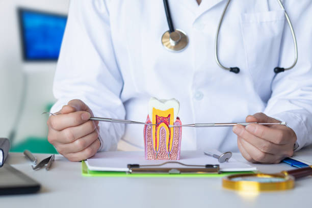 Best Emergency Dentist for Knocked-Out Tooth in Springfield, TN